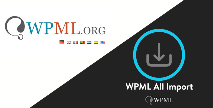 WPML All Import plugin