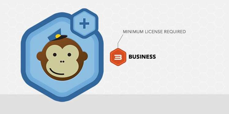 Gravity Forms MailChimp Add-on