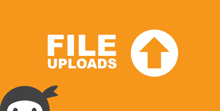 File Uploads For Ninja Forms