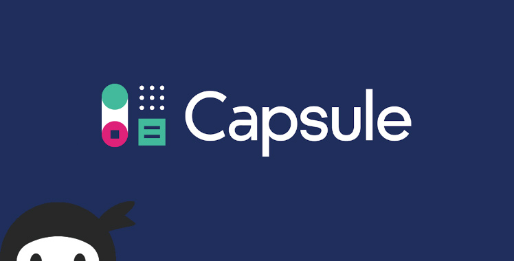 Capsule CRM For Ninja Forms
