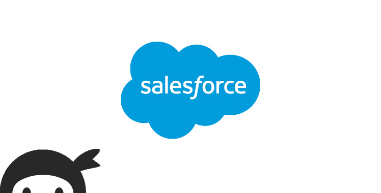 Salesforce CRM For Ninja Forms