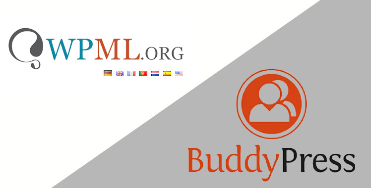 WPML - BuddyPress Multilingual V1.6