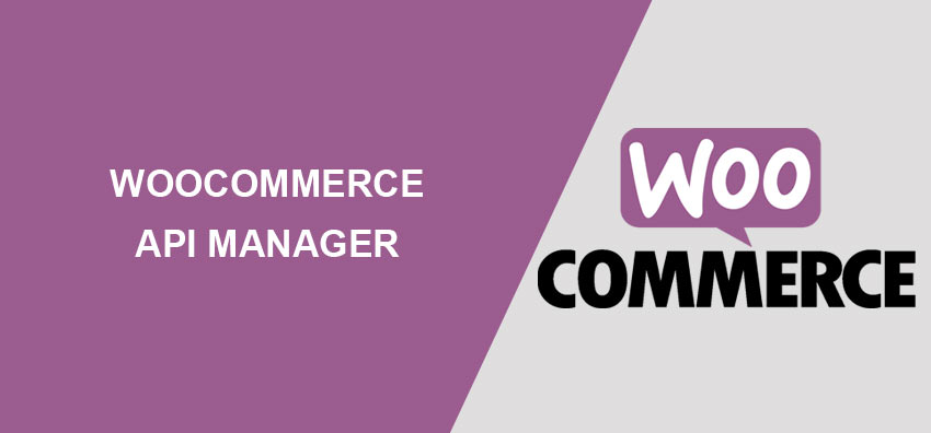 WooCommerce API Manager