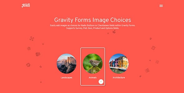 Gravity Forms Image Choices Add-On