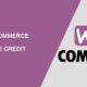 WooCommerce Store Credit V4.1.0