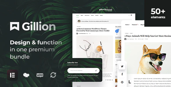 Gillion Theme | Multi-Concept Blog/Magazine & Shop WordPress Theme